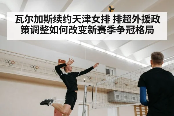 瓦尔加斯续约天津女排 排超外援政策调整如何改变新赛季争冠格局